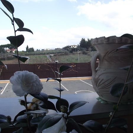 Affittacamere Stranamore Frascati Exteriér fotografie