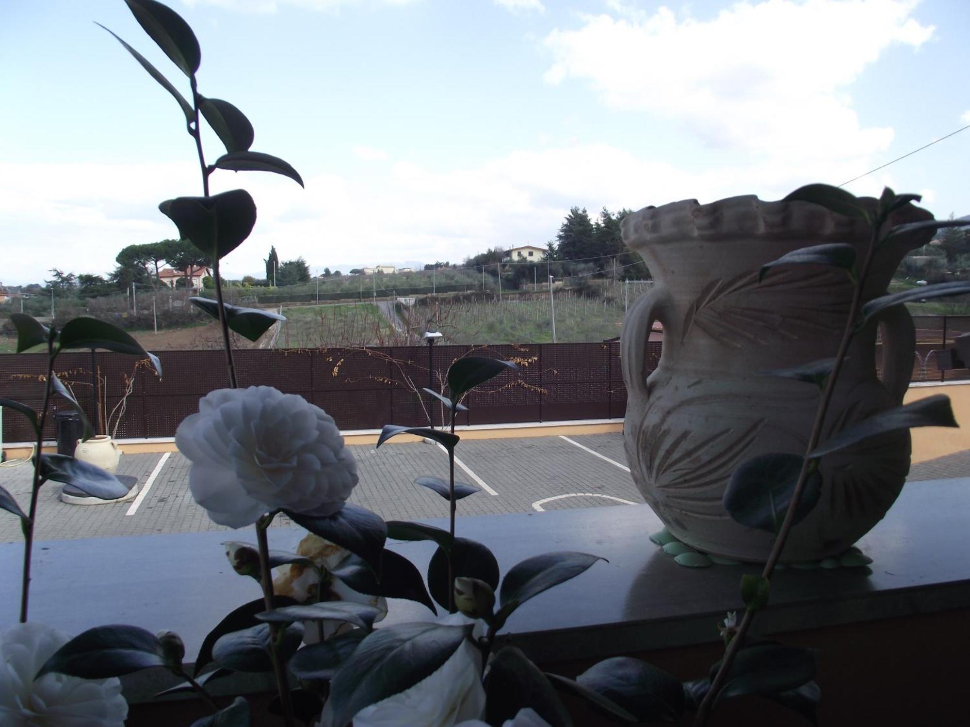 Affittacamere Stranamore Frascati Exteriér fotografie